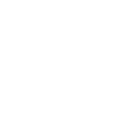 ce logo Centennial