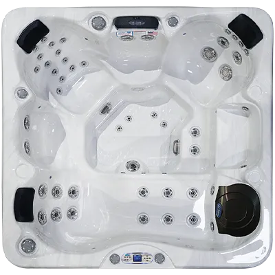 Avalon EC-849L hot tubs for sale in Centennial