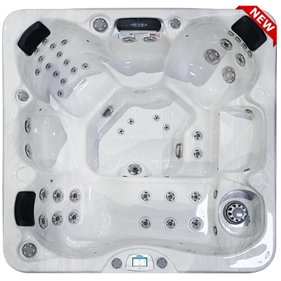 Avalon-X EC-849LX hot tubs for sale in Centennial