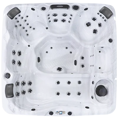 Avalon EC-867L hot tubs for sale in Centennial