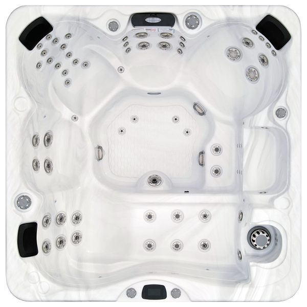 Avalon-X EC-867LX hot tubs for sale in Centennial